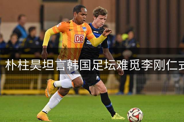 朴柱昊坦言韩国足坛难觅李刚仁式新星